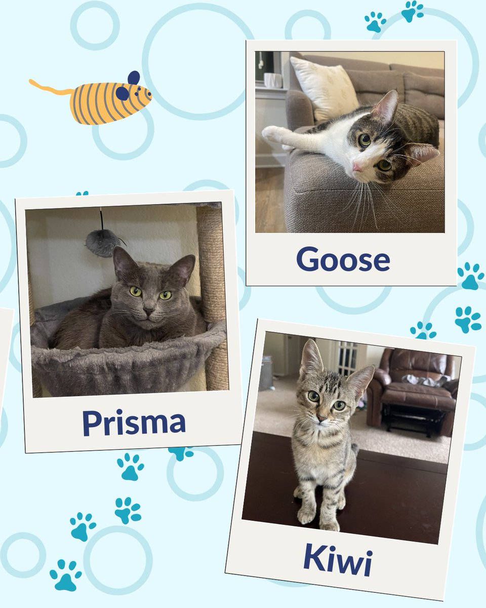 Cause Inspired tweet media