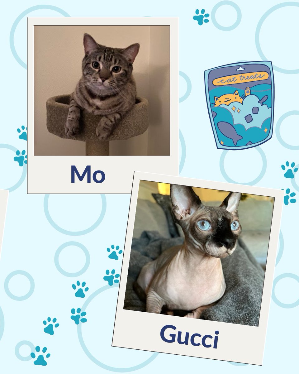 Cause Inspired tweet media