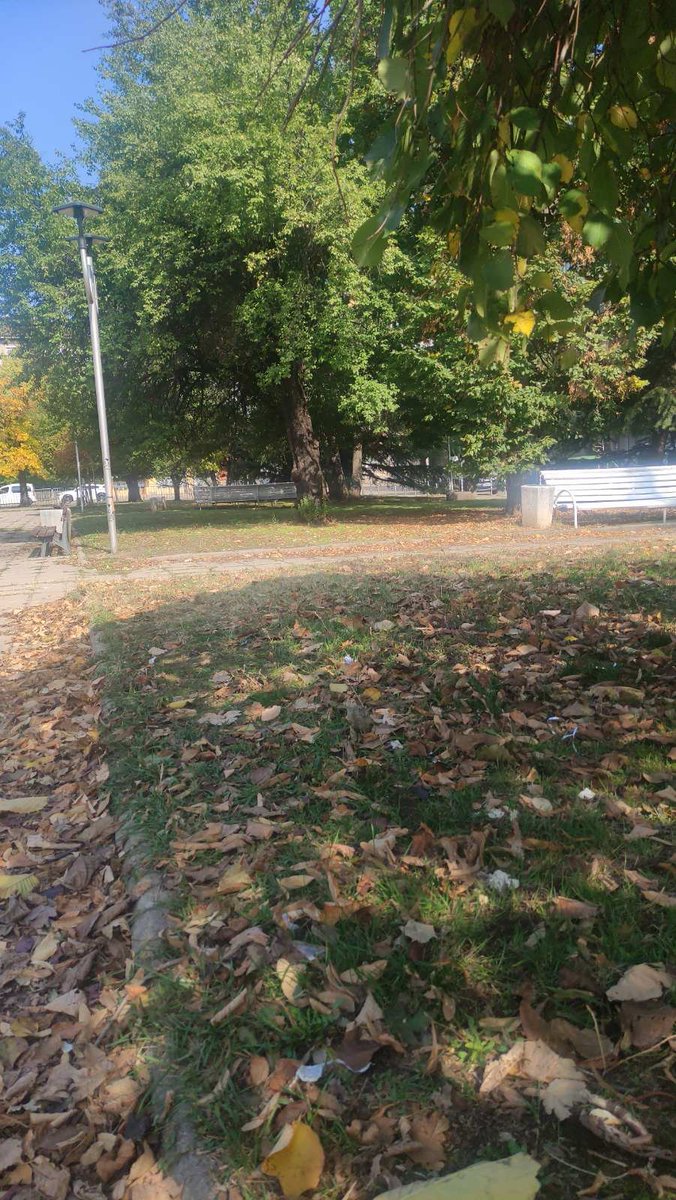 Alex / AI Experiments tweet media