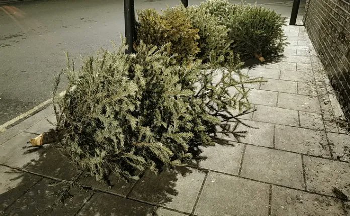 Brixton Buzz tweet media