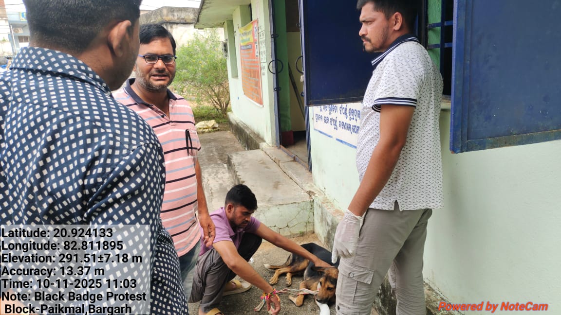 ODISHA VETERINARY SERVICE ASSOSCIATION tweet media