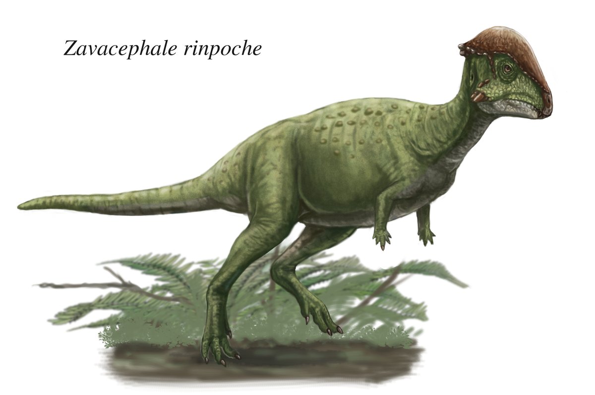 ザヴァケファレ・リンポチェ