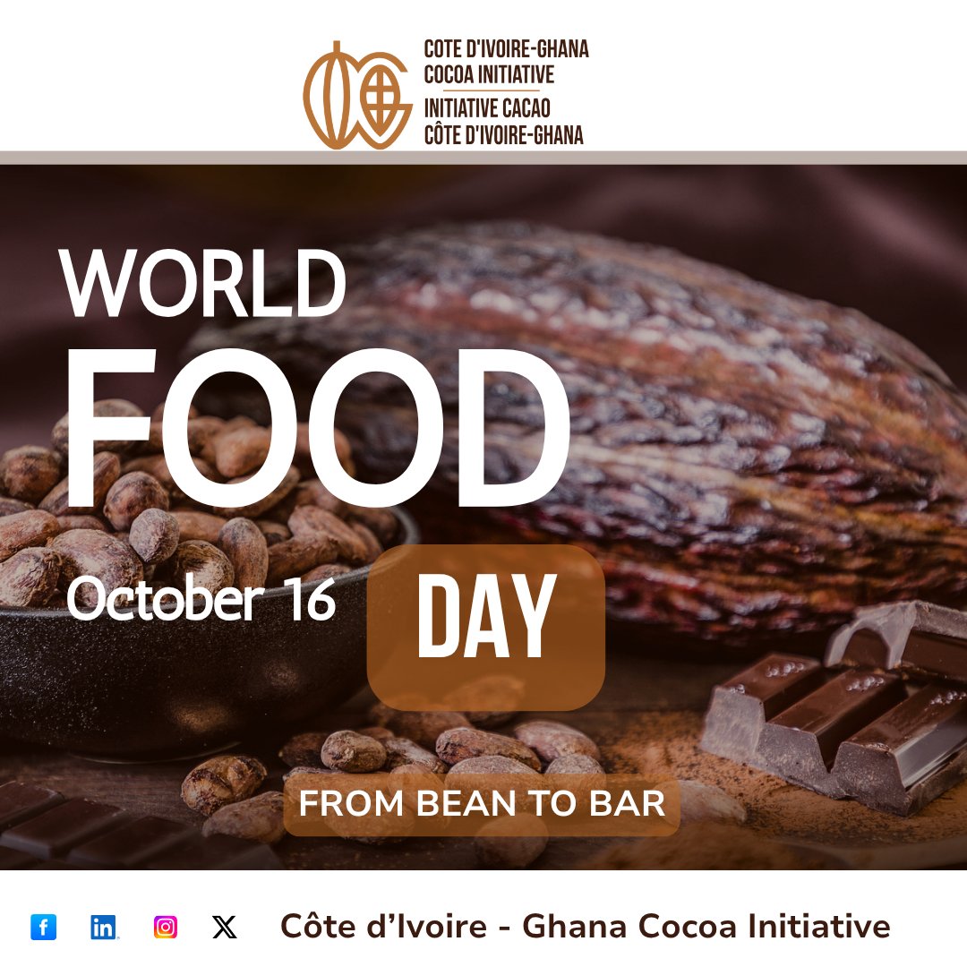 Today, as we celebrate World Food Day, we also celebrate cocoa’s unique journey, from the hands of our skilled producers to the delight of consumers around the world. A reminder that good food doesn’t just nourish, it connects us all.

#CocoaLife #CIGCI #WorldFoodDay #October16