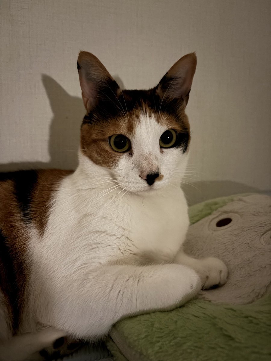 넌 정말정말 예쁘구나