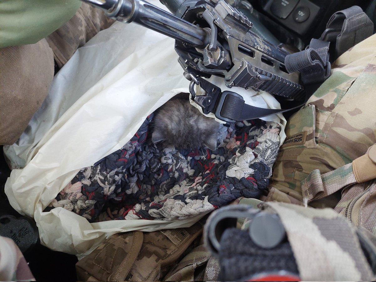 Вивіз малого пиздюка і так зорі зійшлися, що вже за кілька годин у нього з'явилась сім'я)