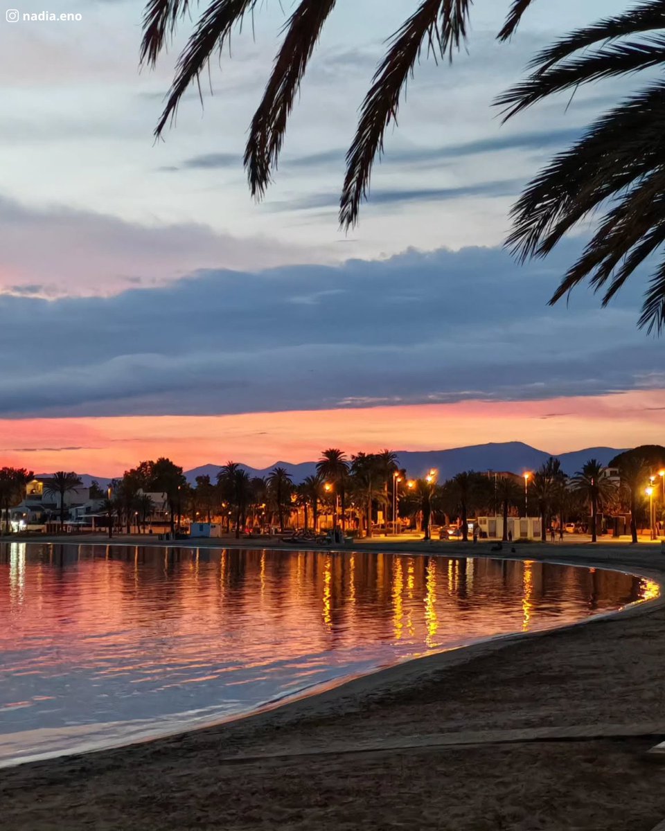 Visit Roses (@visitroses) on Twitter photo El sol s’amaga i el mar es tenyeix de la seva llum... bon vespre des de la platja de Roses 🌅
The sun sets and the sea is painted with its light... good evening from the beach of Roses 🌅
📸 (Ig) <a href="/nadia/">💖nadia</a>.eno - Moltes gràcies! 💯
<a href="/catexperience/">Catalunya Experience</a> <a href="/costabrava/">Costa Brava Pirineu</a> #VisitRoses El sol s’amaga i el mar es tenyeix de la seva llum... bon vespre des de la platja de Roses 🌅
The sun sets and the sea is painted with its light... good evening from the beach of Roses 🌅
📸 (Ig) <a href="/nadia/">💖nadia</a>.eno - Moltes gràcies! 💯
<a href="/catexperience/">Catalunya Experience</a> <a href="/costabrava/">Costa Brava Pirineu</a> #VisitRoses