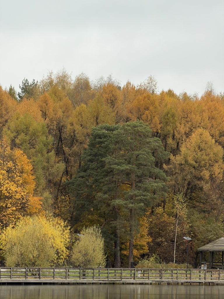 Зум на iPhone 17 Pro: x0,5 - 1 - 4 - 8