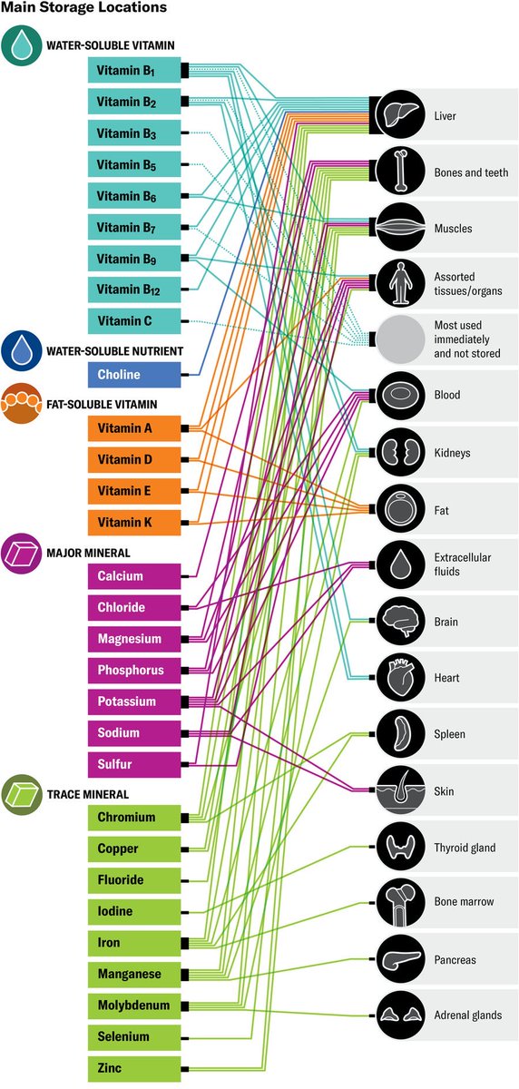 มาดูแผนภาพ Vitamin และ เกลือแร่ (Mineral) พื้นฐานที่ร่างกายเราใช้เยอะ ใช้บ่อยใช้ถี่ และมีการ “สะสม”** (มากน้อย/ระยะสั้น/ยาว ขอยังไม่ระบุ) เะื่อเอาไว้ใช้งานใน ชีวิตประจำวัน

1. จริง ๆ ก็ต้องรู้จักก่อนคือ Vit A D E K ที่สำคัญมาก
เพราะอย่า หา ซื้อ กิน เอง!!!!
เพราะเป็น Vitamin