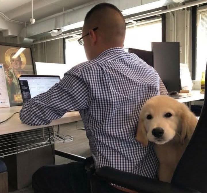 Cuando me piden que describa mi ambiente ideal de trabajo:
