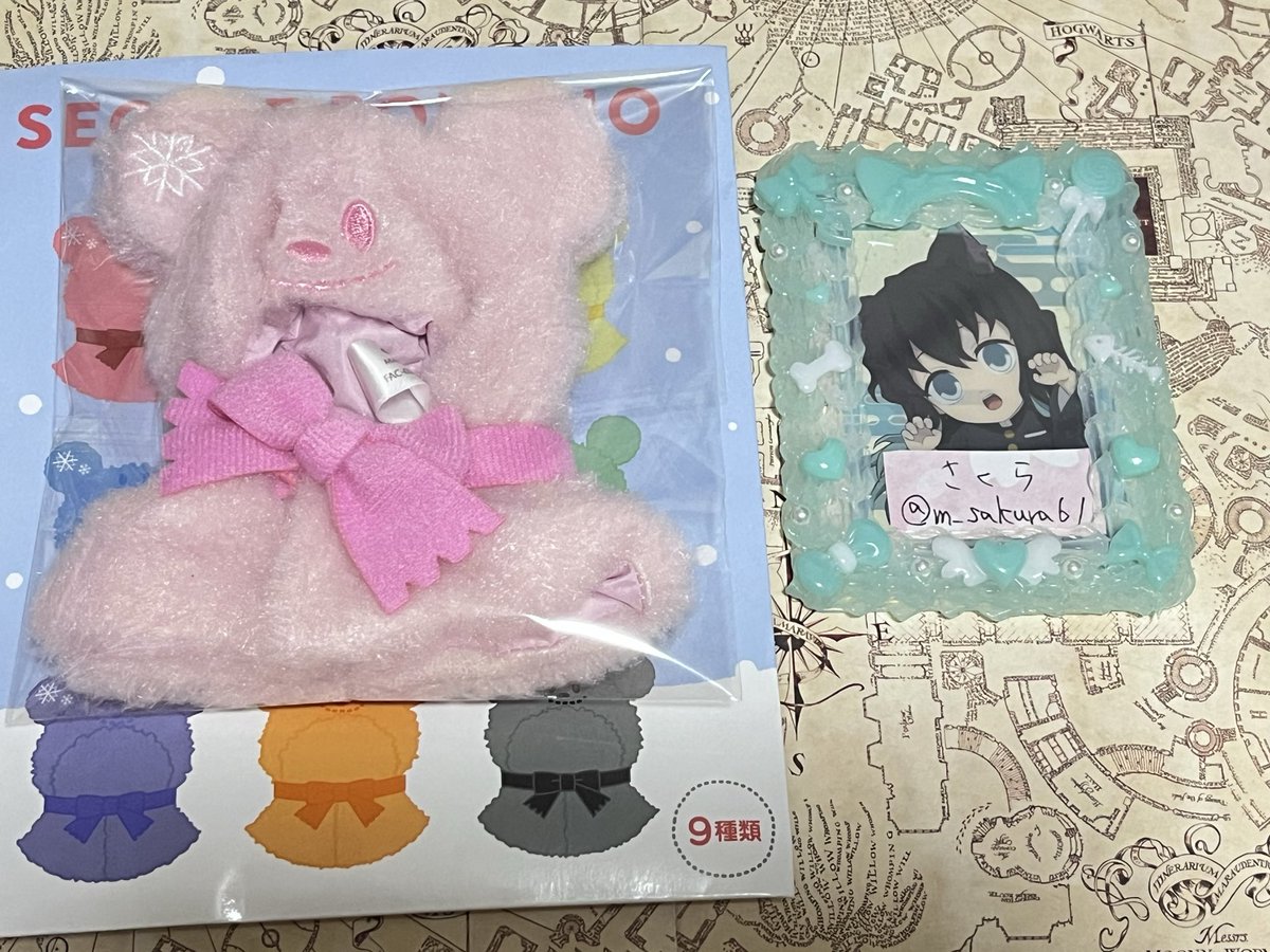 【交換】ディズニーストア ユニベアシティ ユニベア シークレットポンチョ
(譲)ピンク
(求)青(水色)
郵送または平日夕方舞浜駅手渡し。