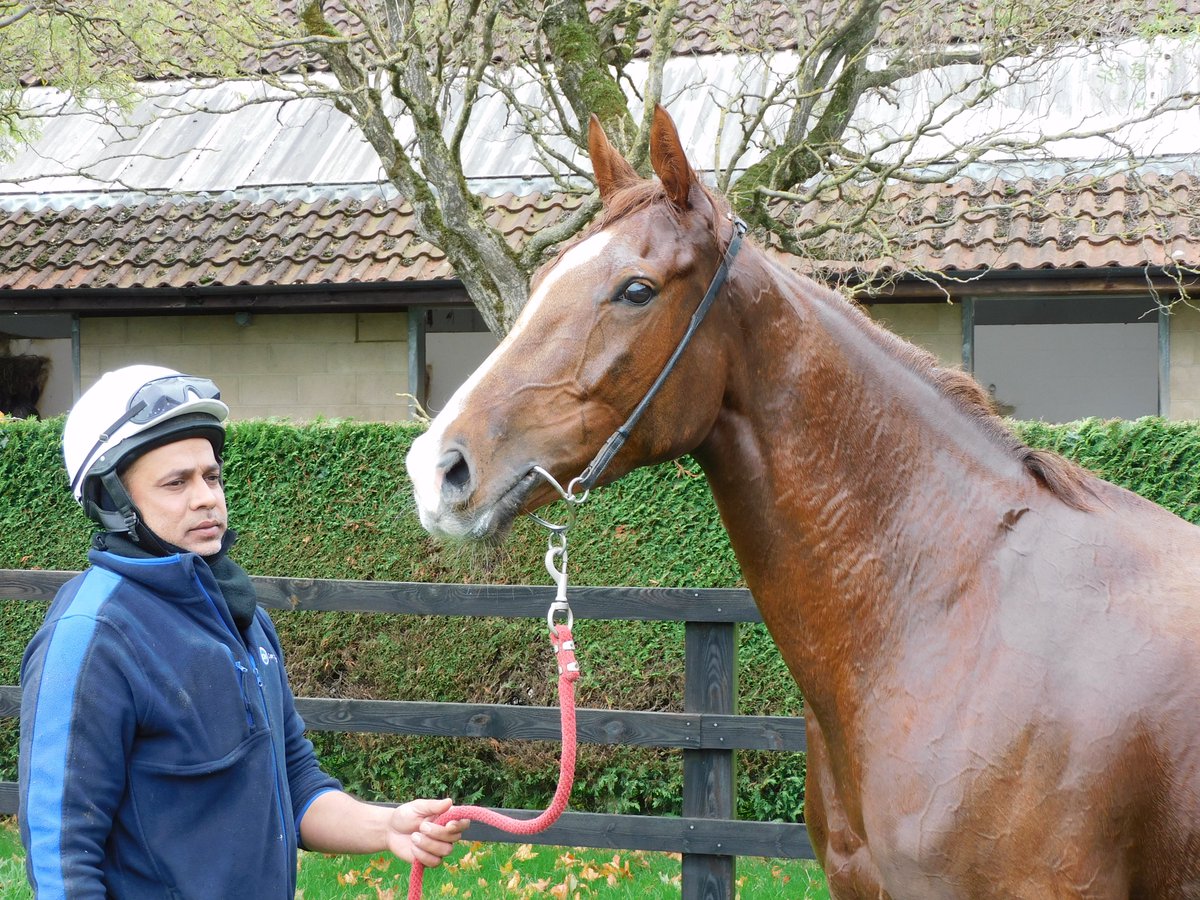 BG Racing Syndicates tweet media