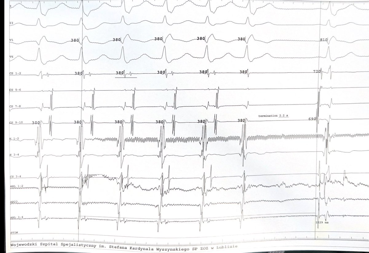 Lublin_EP tweet media