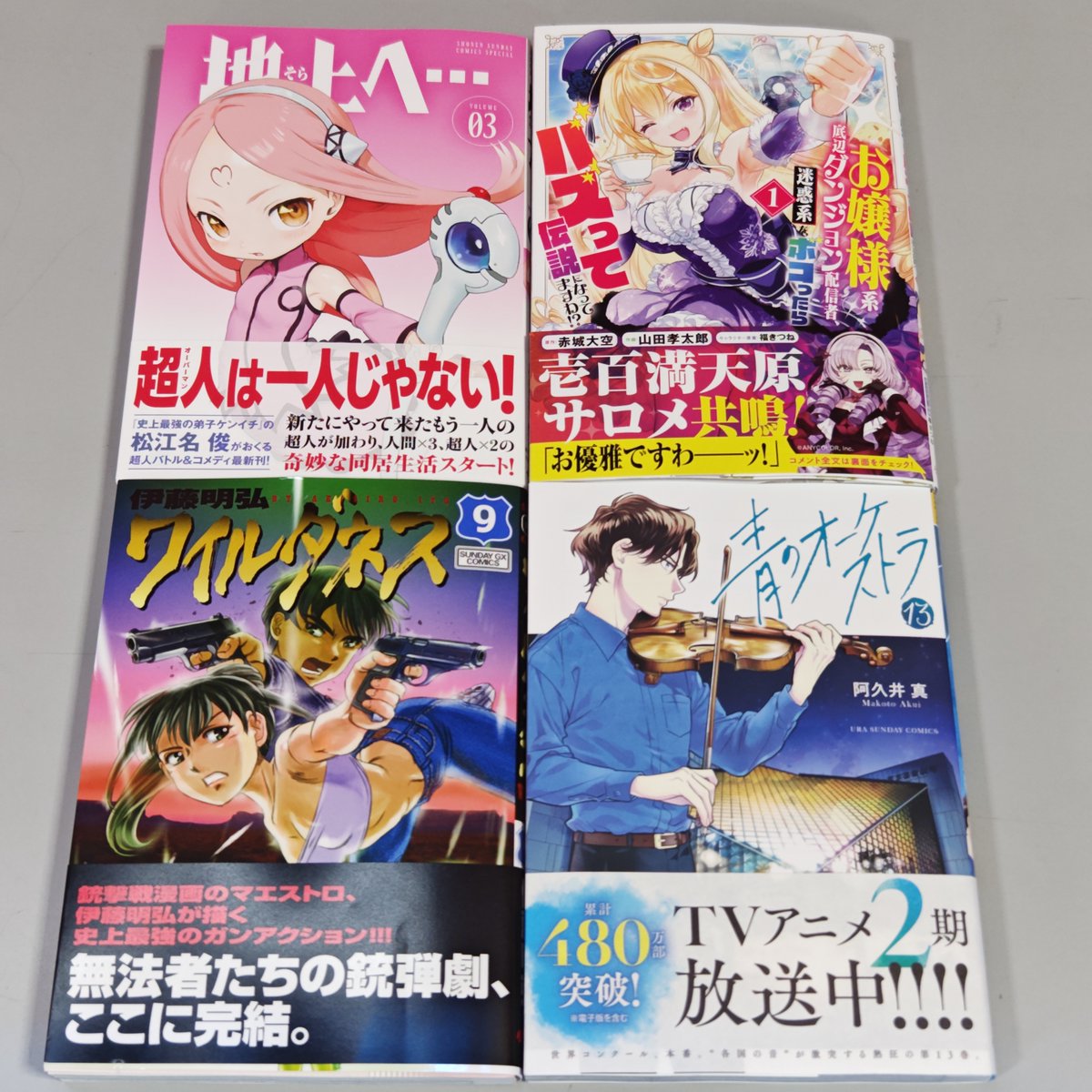 犬山田幸太郎 山田孝太郎