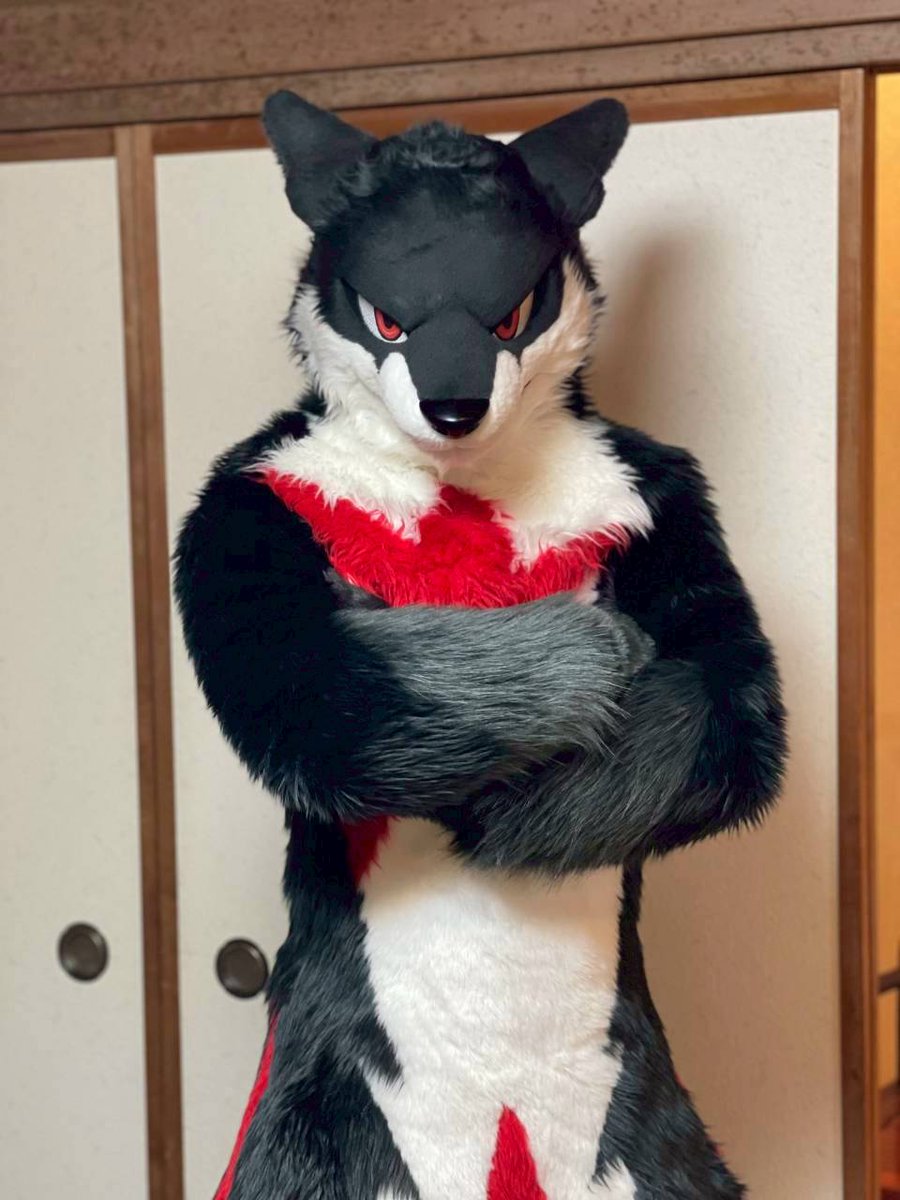 週末前の一日も気を抜かずとも無理はせず。
#FursuitEveryday