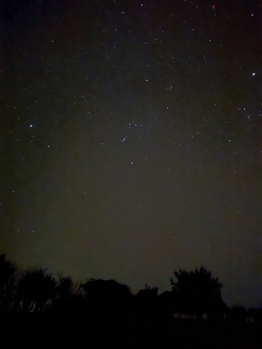 春の神津島で撮ったオリオン座(急に何)