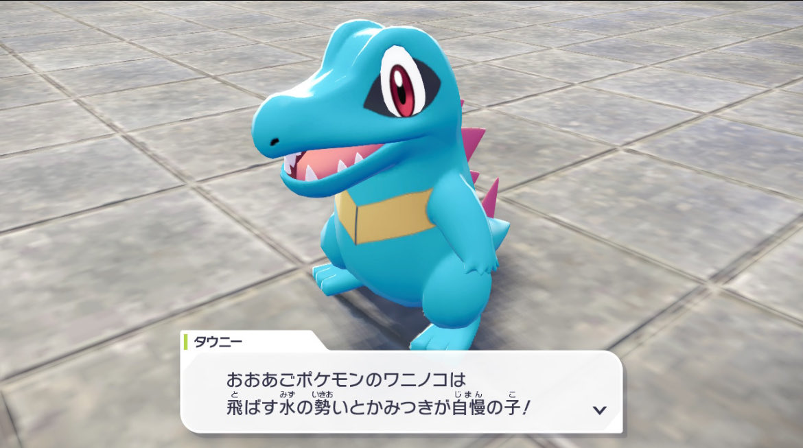 皆んな当然ワニノコ選んだよね？