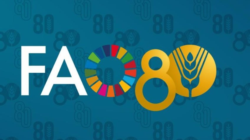 📌 HOY
Celebramos el #diamundialdelaalimentacion , un recordatorio a la misión que nos dio origen.
Nuestro mejor regalo sera un mundo sin hambre y con sistemas agroalimentarios sostenibles.

8️⃣0️⃣ Aniversario 🎂