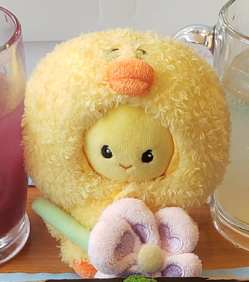 10/5のテミン静岡公演でテマリを落としてしまい探しております🙏

【落としたと思われる場所】
10/5静岡エコパアリーナC3付近
会場～駐車場までの道のり
エコパ駐車場
さわやか袋井店・駐車場

お心当たりのある方がおりましたDM等ご連絡お願いします🙇‍♀️⤵️
#落とし物 #忘れ物
#テミン #태민 #TAEMIN