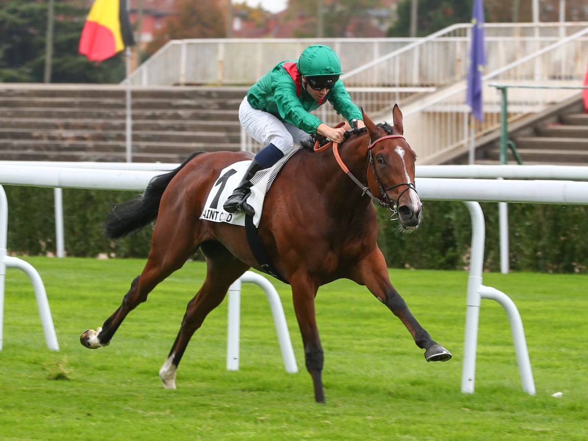 🥇 #Zayida gets off the mark at Saint-Cloud, breaking her maiden in the Prix Barquette.

This blue-blooded 2yo is a daughter of Frankel out of #Siyouni's Stakes winning daughter #Zaykava - herself out of champion #Zarkava. 🟢🔴