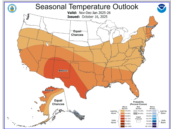 carl lacey (@clacey_carl) on Twitter photo 