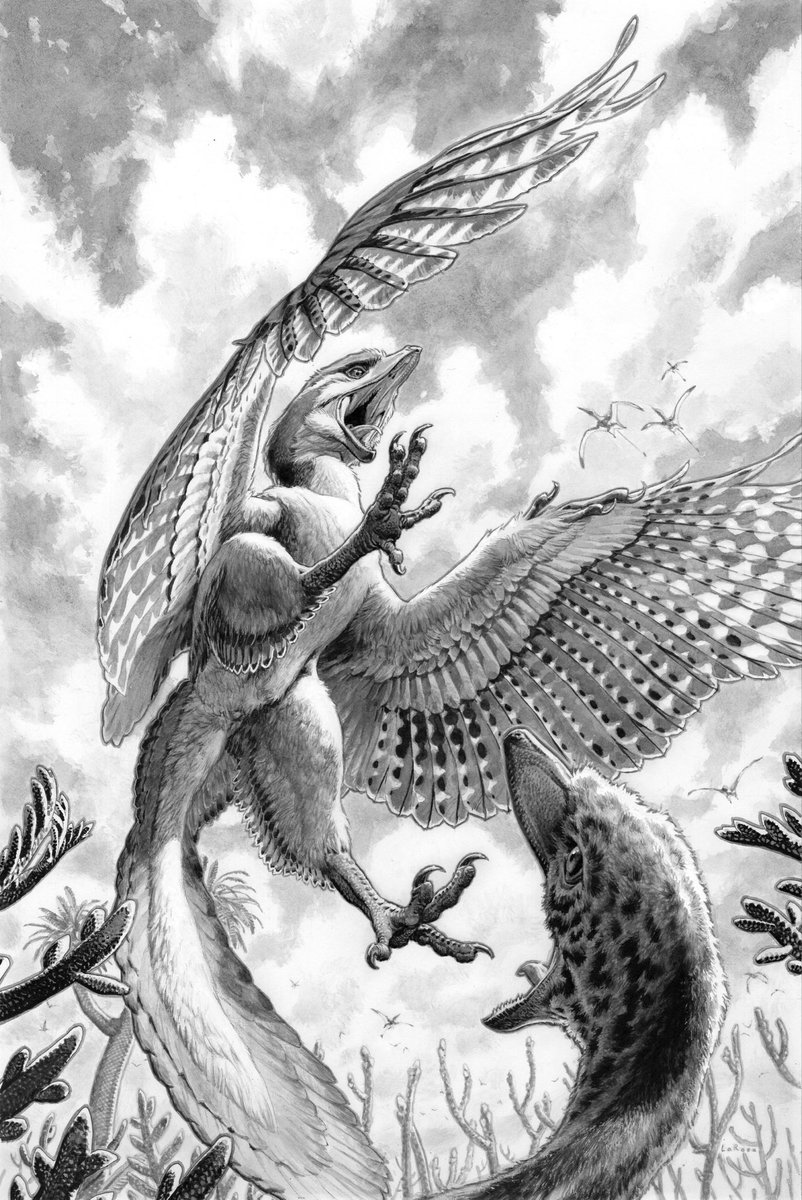 lewislarosa's tweet image. Pencil, pen, brush, ink wash & white paint on board #PortfolioDay
