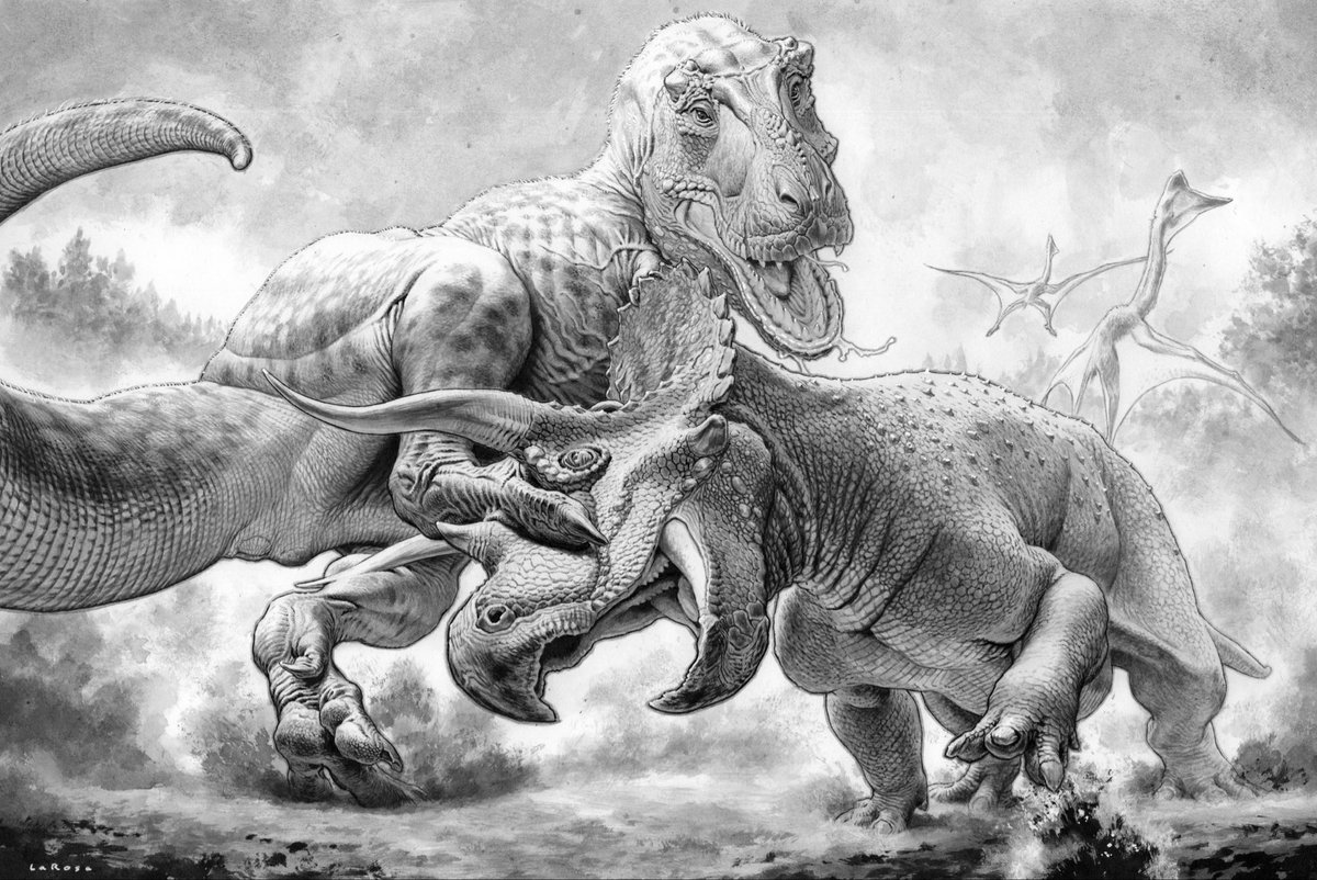 lewislarosa's tweet image. Pencil, pen, brush, ink wash & white paint on board #PortfolioDay