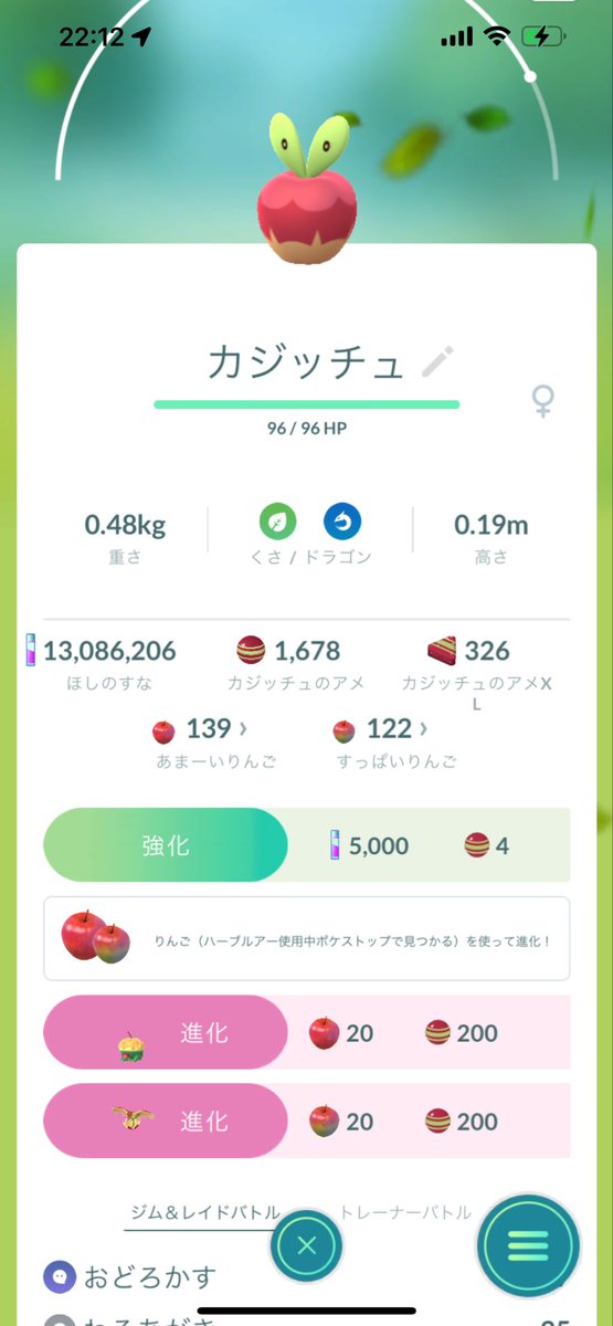 あれ？
カミッチュ？？