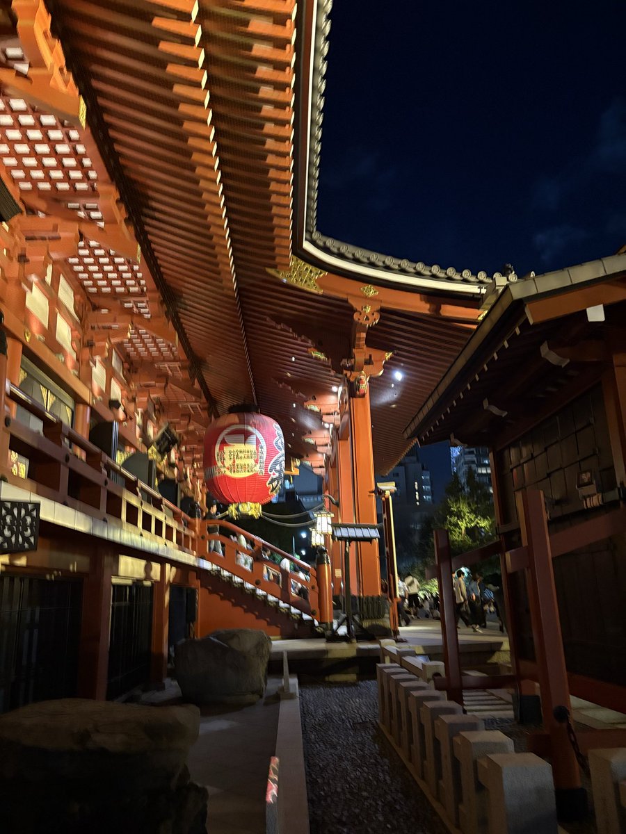 Matheus Ferraz tweet media