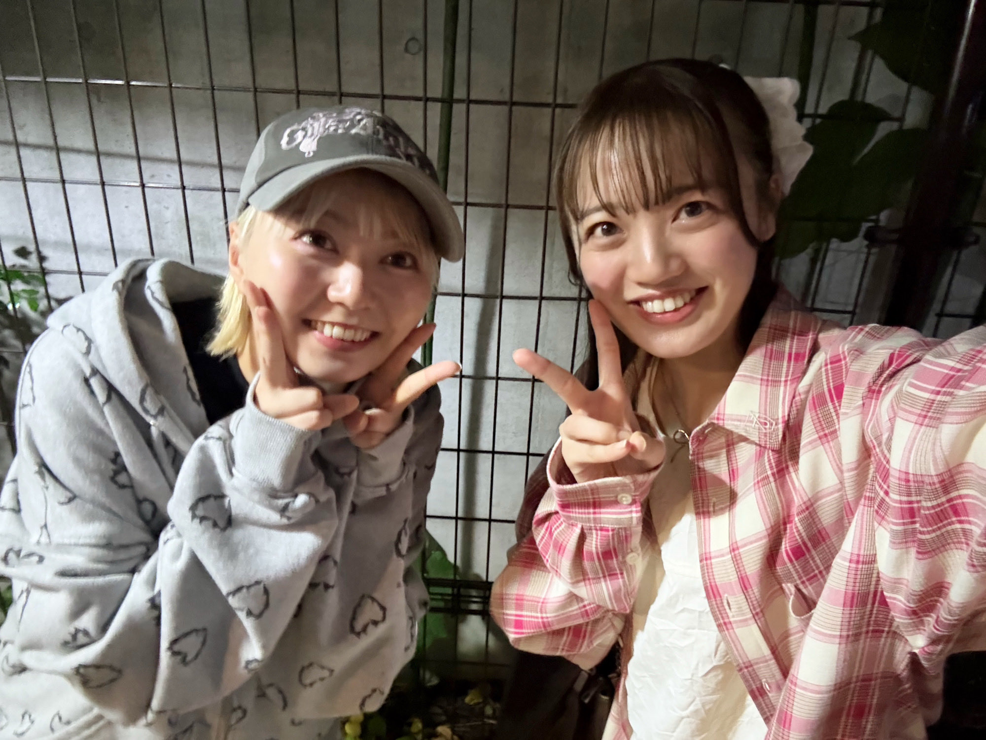 おもちちゃん おもちちゃん (@mochivation) / X