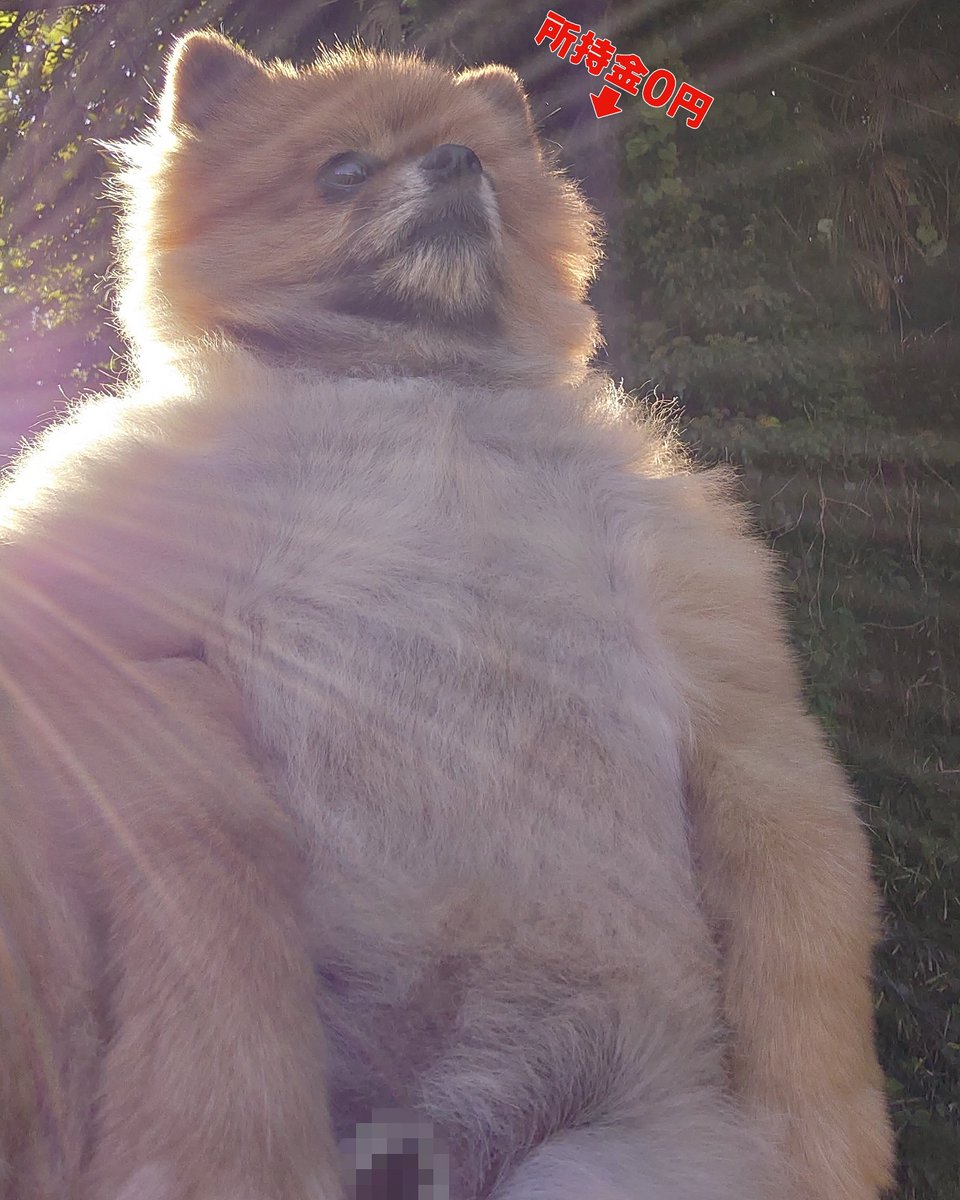 ぴよりん🐥ｵﾌﾞｼﾞｮｲﾄｲ (@harepiyopiyo) / Posts / X