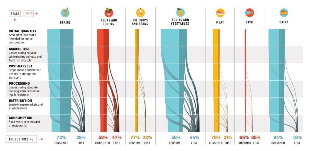 Voedselverspilling bij zuivel en vlees veel lager dan die bij groente &amp; fruit. Dankzij o.a. beter houdbare producten bij zuivel, zoals kaas, en ruime invriesmogelijkheden bij vlees. Verdient meer aandacht in de discussie over de duurzaamheid van dierlijk en plantaardig eten.