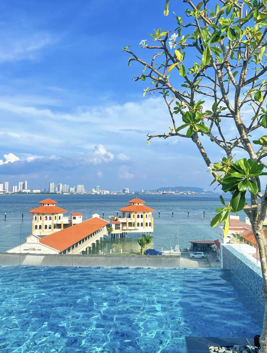 aj_Polin0910's tweet image. 