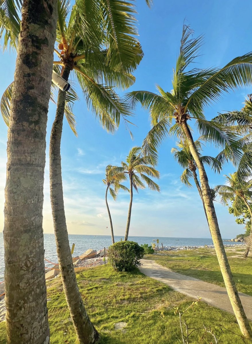 aj_Polin0910's tweet image. 