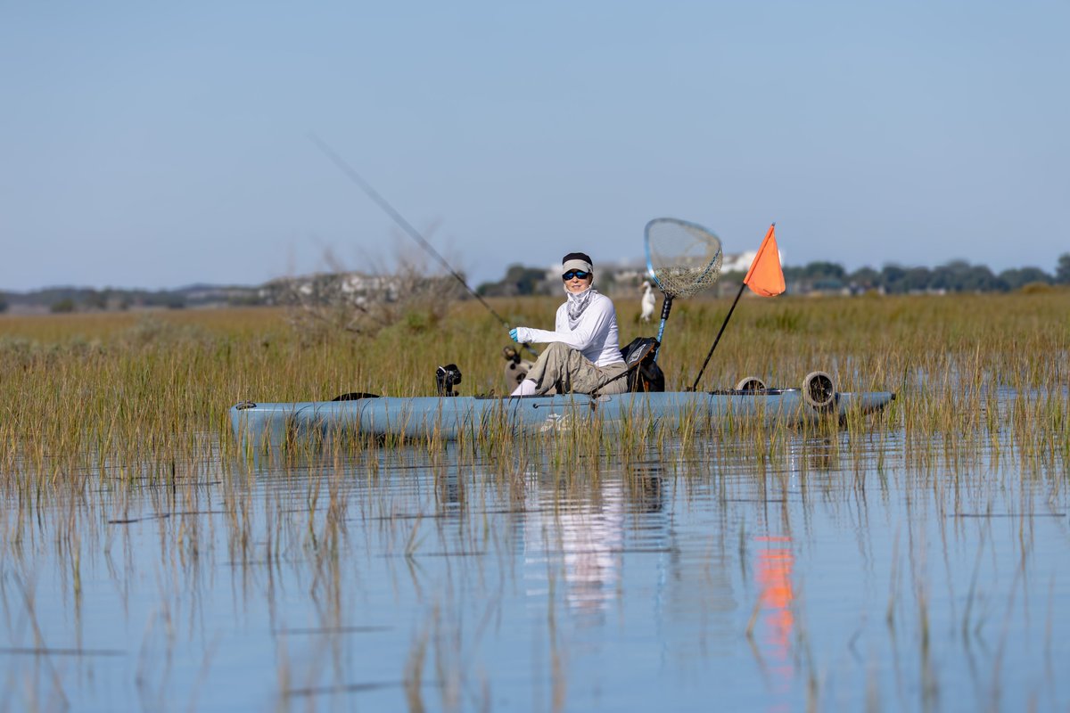 #kayahfishing <a href="/hobiefishing/">Hobie Fishing</a> Pawleys Island Creek life! #NaturePhotography #nature