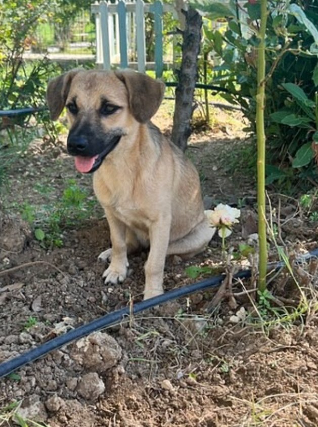 Bugra Kuki tweet media