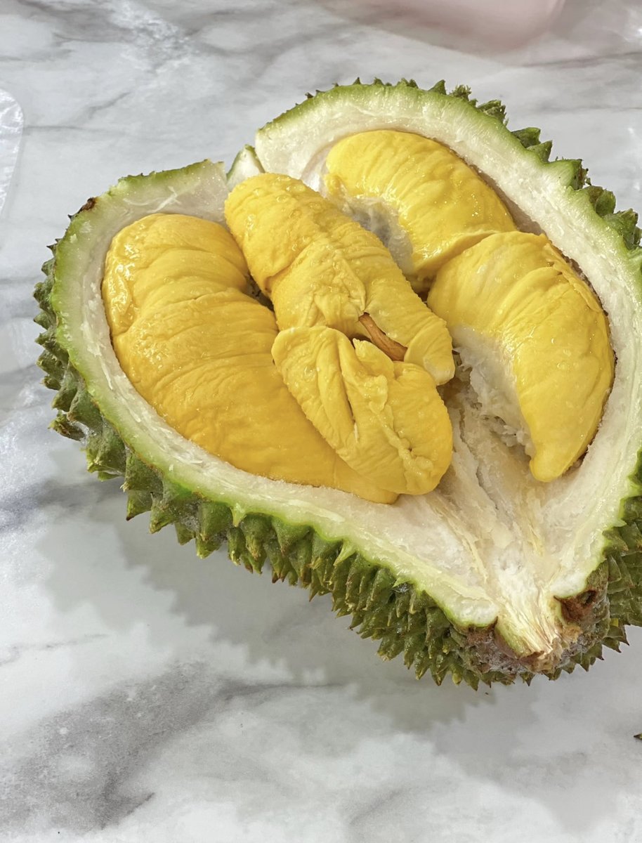 aj_Polin0910's tweet image. Para llegar a Penang, Malasia, debes experimentar los durian del rey de los gatos.