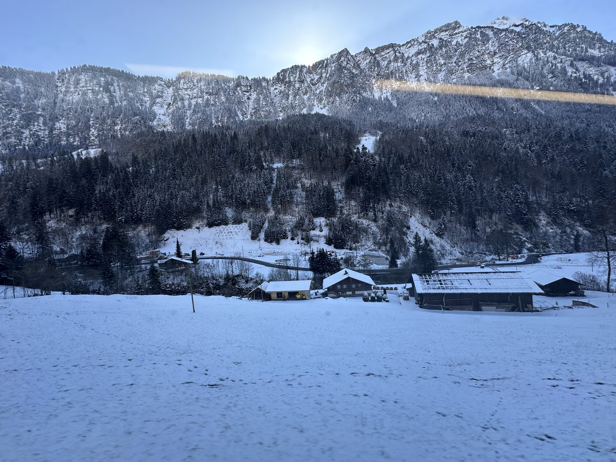 everyone needs a winter in Switzerland