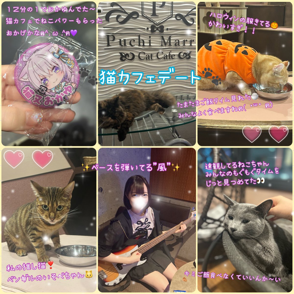 koikano_nkarenn's tweet image. 猫カフェデート🐱🧡
久々の猫カフェで猫ちゃんたちに癒された〜💕
今回のカラオケはギターとベースが弾ける部屋だったよ🎸✨
私は全く弾けないのでボーカルに徹します🖐🏻
弦抑えるの難しいし早く動かさなきゃだし弾ける人ほんとすごい…(｡ｰ人ｰ｡)
今日もありがとね💫

 #レンタル彼女  #コイカノ関西
