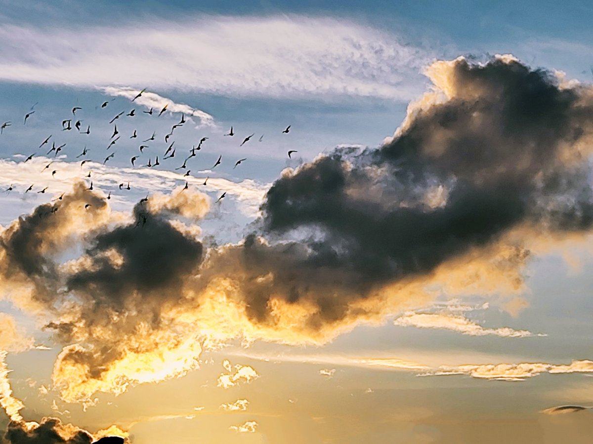 bir, ki, üç, göç...