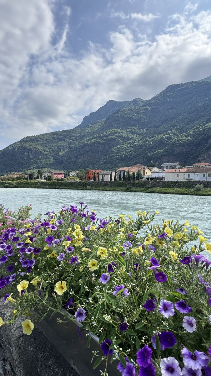 M A L A K tweet media