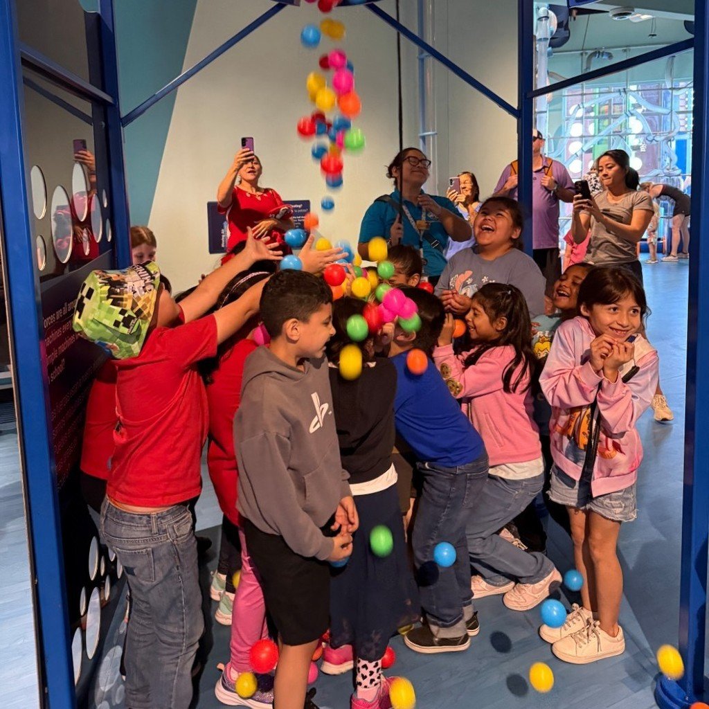 swisd_hcsa's tweet image. Second grade field trip to the DoSeum. Students explored many fun activites and had such a great experience.  
#SWISDHEROS #RootedHiddenCove #RootedSWISD