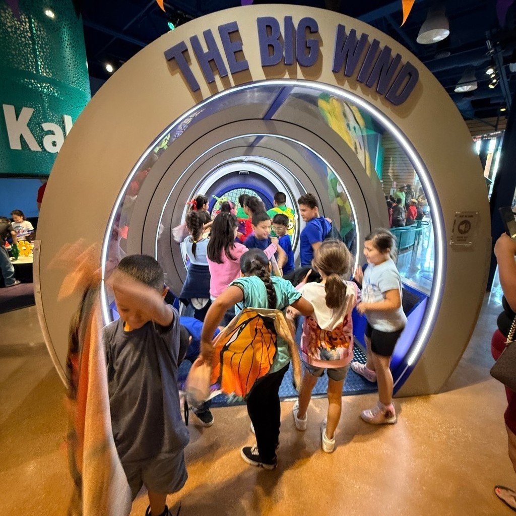 swisd_hcsa's tweet image. Second grade field trip to the DoSeum. Students explored many fun activites and had such a great experience.  
#SWISDHEROS #RootedHiddenCove #RootedSWISD