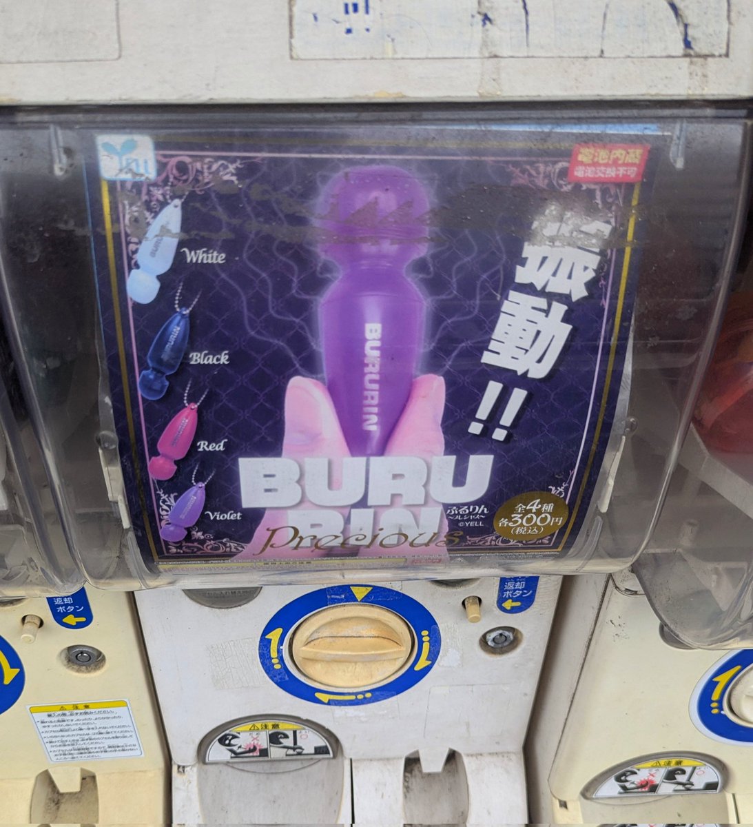 ぶるりんぷれしゃす（意味深）