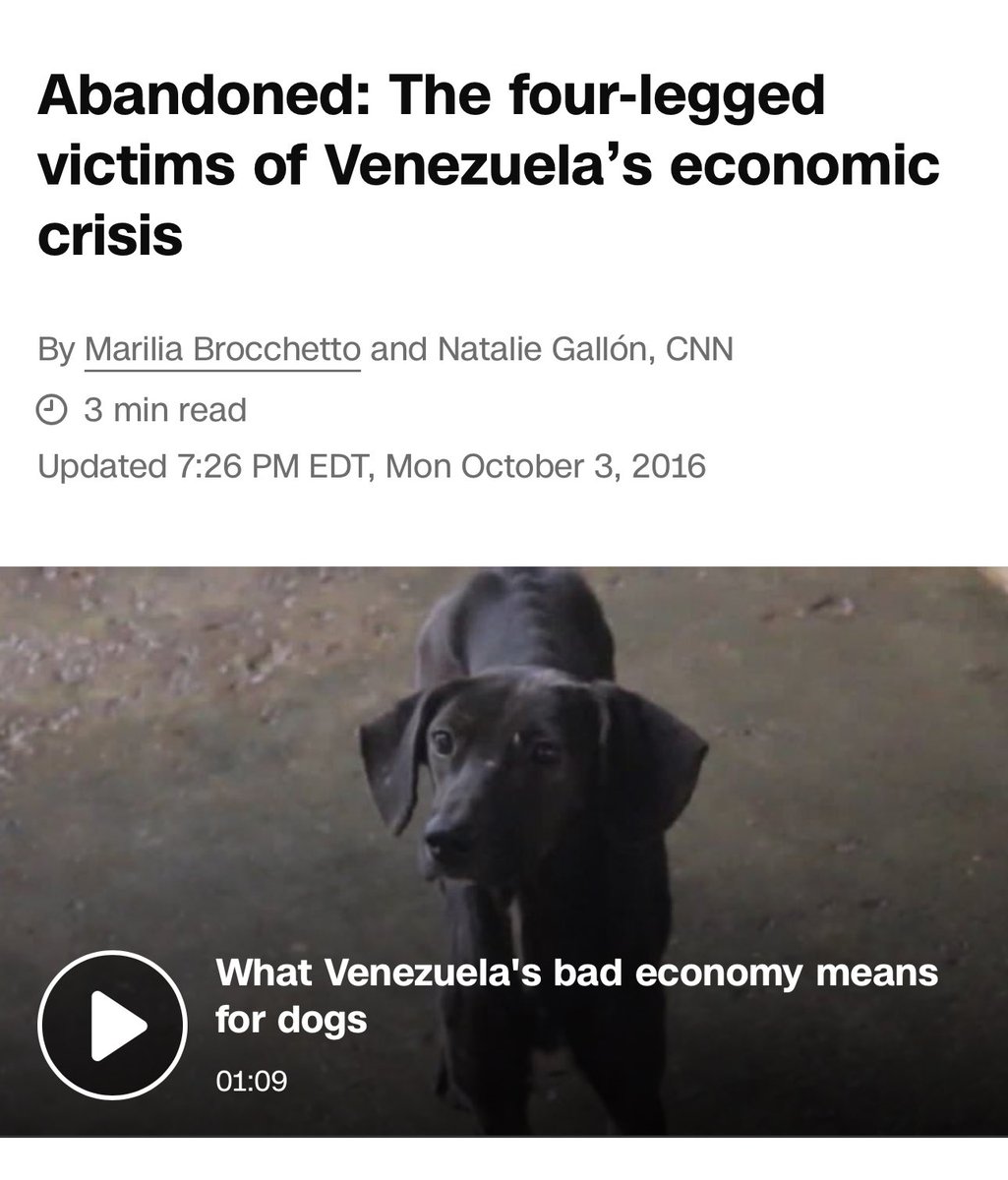 The pets of Venezuela suffered terribly under Maduro’s brutal dictatorship. Many were starved or even eaten as families struggled to survive.

As President Trump brings freedom to Venezuela, it would be beautiful to reunite people with the love they lost, and bring some of these