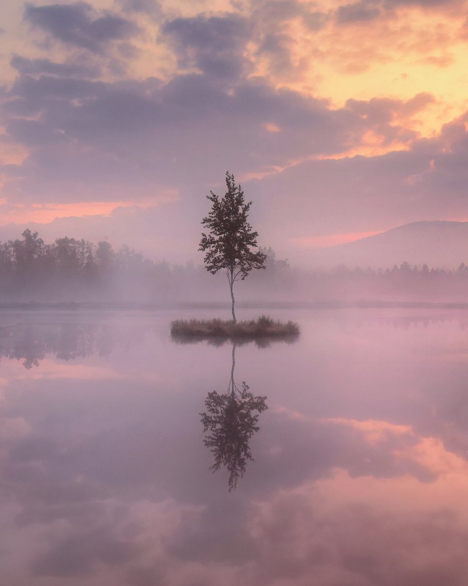 Solitude

#landscapephotography #landschaftsfotografie #fog #sunrise