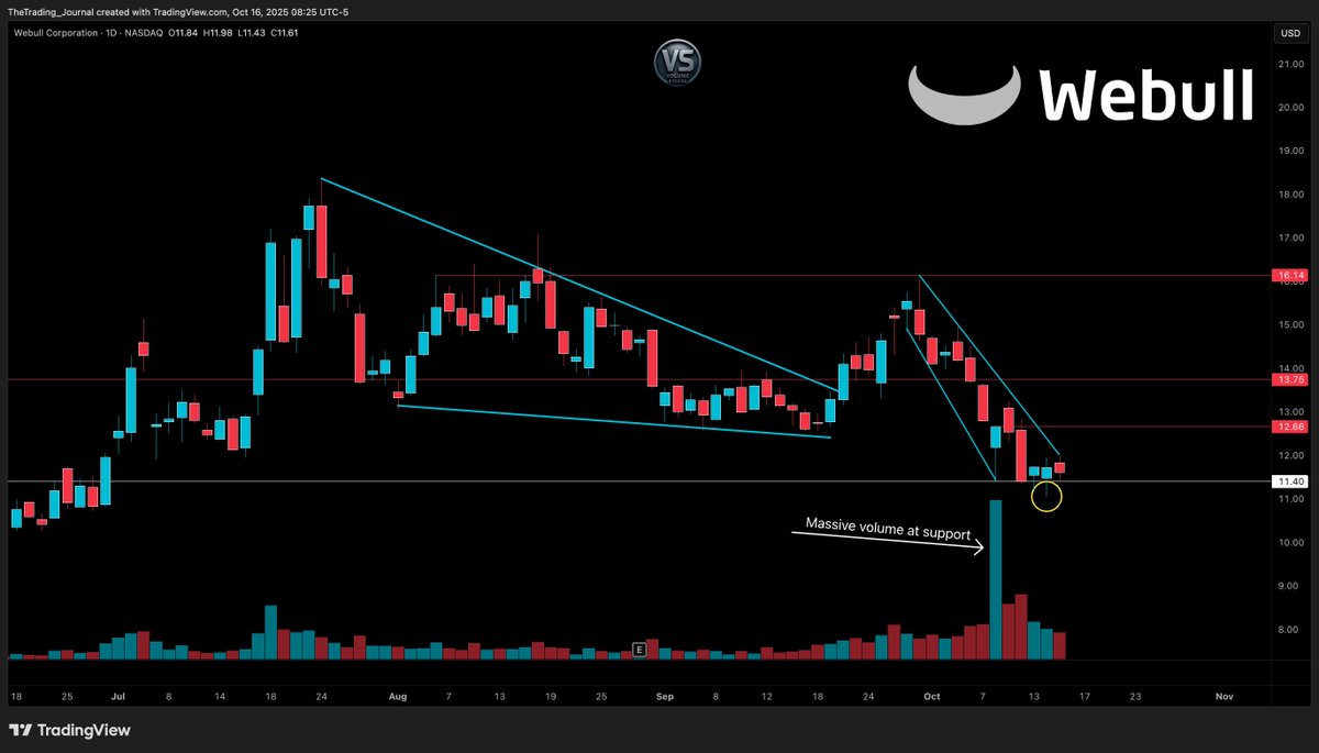 Volume_Stocks's tweet image. $BULL #webull 

Massive volume last week

Support is still holding