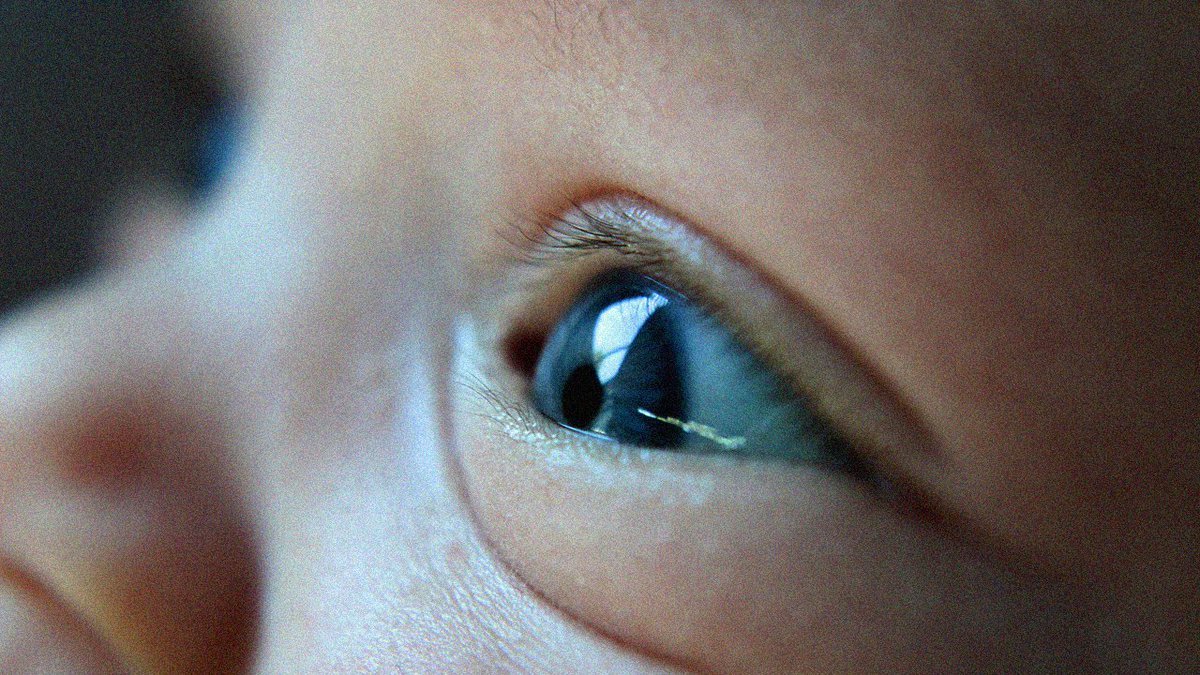 Looking in the eyes of a newborn, whose brain is still formatting like a new hard drive, there are no thoughts or concepts. But there is presence. A presence that can’t be defined in words because it precedes them.

youtu.be/cmj7TWKdE38