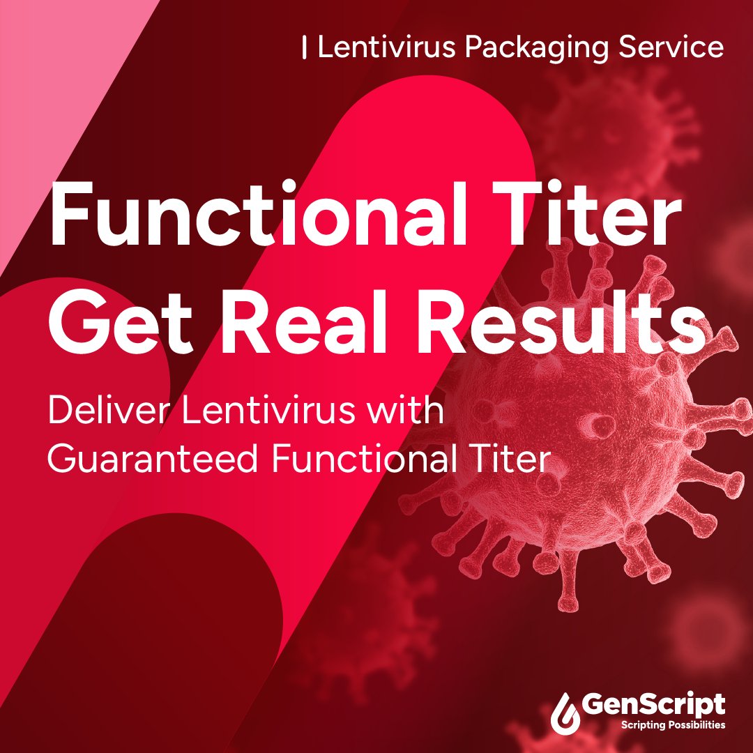 GenScript's tweet image. Is your lentiviral titer showing real function—or just total particles? 🔍
#GenScript’s upgraded Lentivirus Packaging Service now features duplex qPCR QC, guaranteeing accurate functional titer ≥10⁸ TU/mL. Say goodbye to MOI guesswork.
👉 bit.ly/47cPsoY
#Lentivirus
