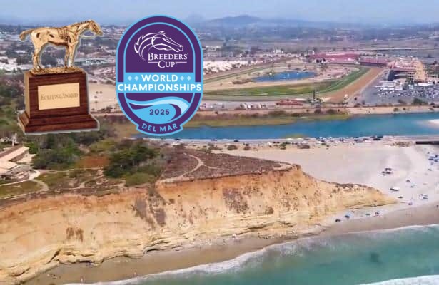 Division rankings.
Chip Gehrke (<a href="/DoctorDerby/">Chip Gehrke</a>)says never mind what happens in <a href="/BreedersCup/">Breeders' Cup</a>. At least 4️⃣ championships are locked up.
horseracingnation.com/blogs/Doctor/D…
📸 <a href="/FanDuelTV/">FanDuel</a>