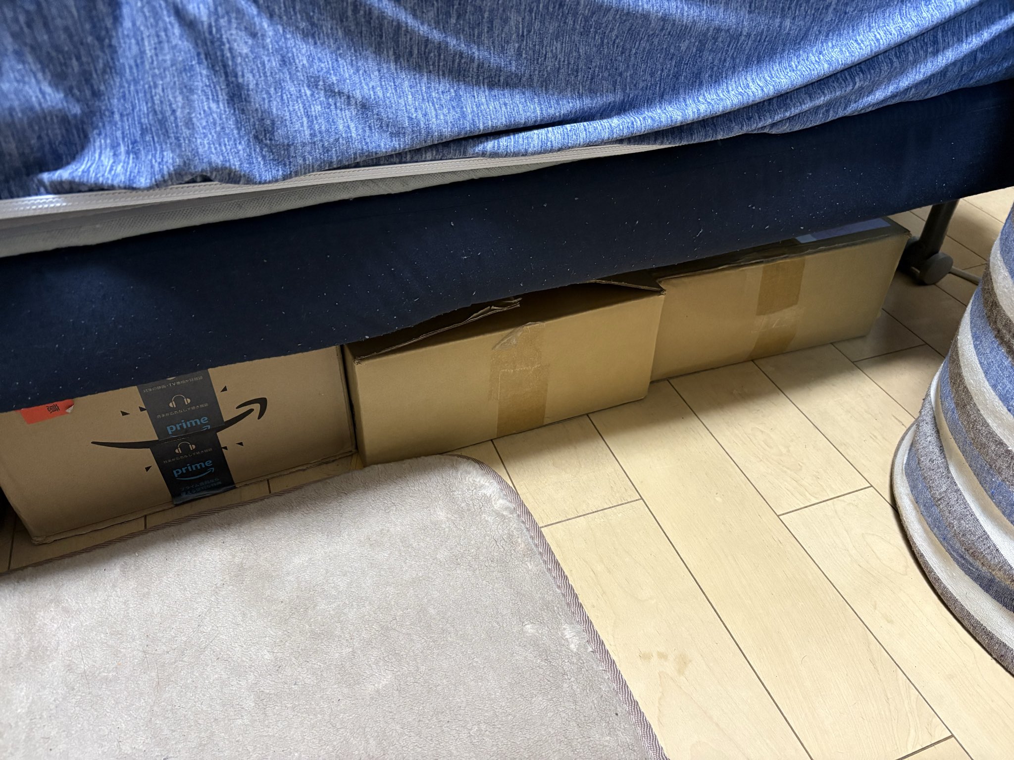 樹齢二千年 on X: 